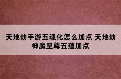 天地劫手游五魂化怎么加点 天地劫神魔至尊五蕴加点